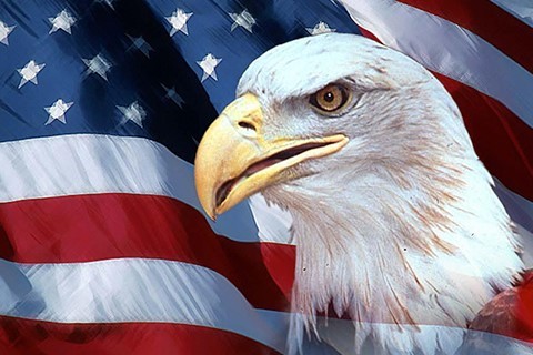 USA American Eagle Bonds Ins Agency LLC